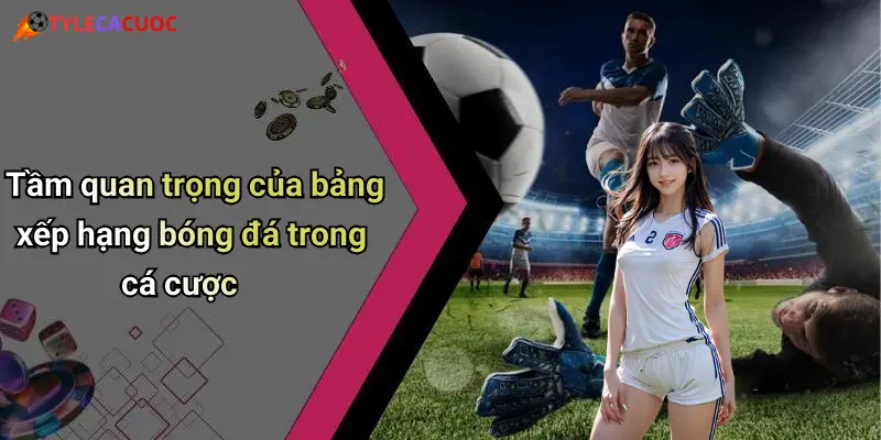 Tầm quan trọng của bảng xếp hạng bóng đá trong cá cược