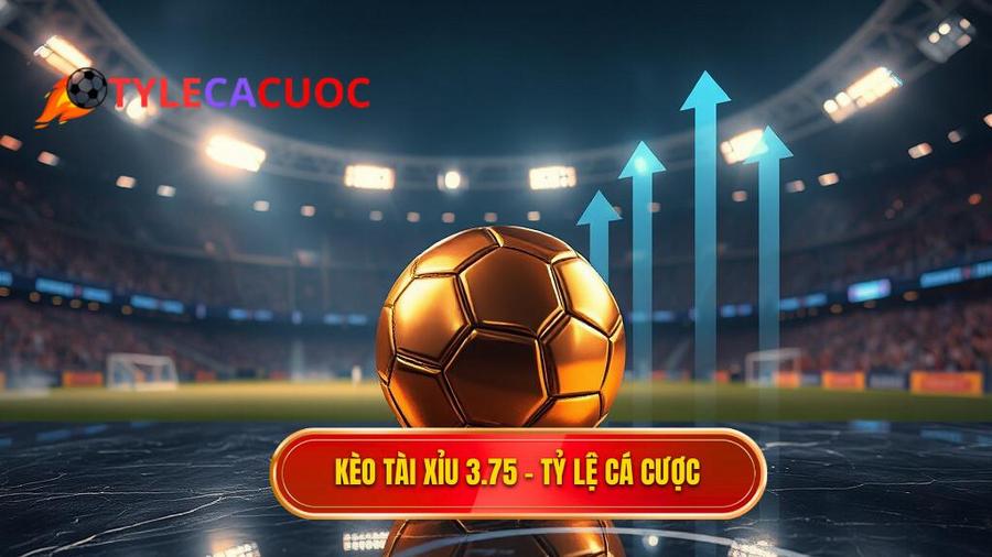 Kèo tài xỉu 3.75 hiệp 2 là gì? Kinh nghiệm đánh bại nhà cái
