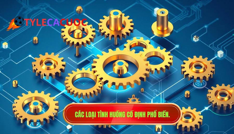 Các loại tình huống cố định phổ biến